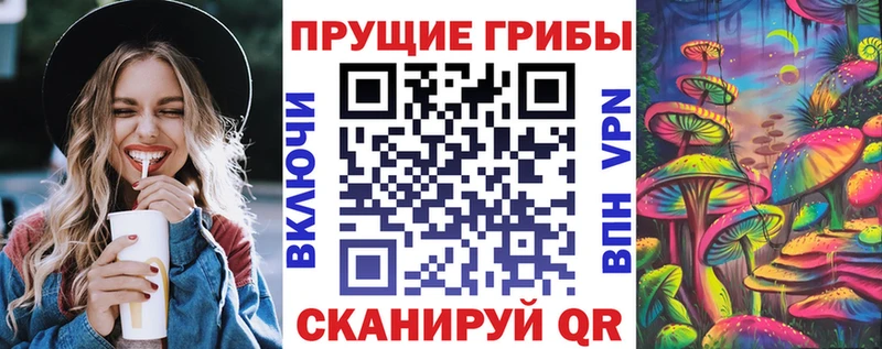 Купить закладки  Староминская  Псилоцибиновые грибы GOLDEN TEACHER 